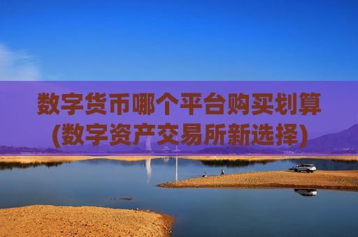 数字货币哪个平台购买划算(数字资产交易所新选择)