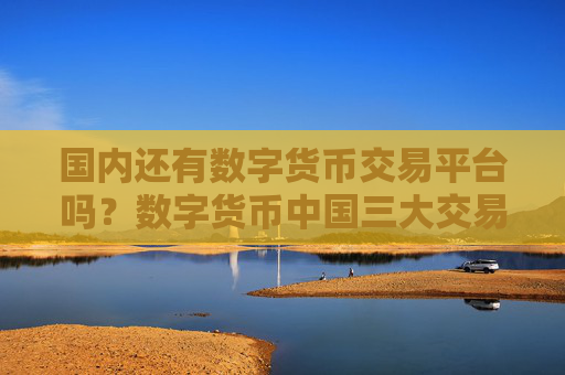 国内还有数字货币交易平台吗？数字货币中国三大交易软件