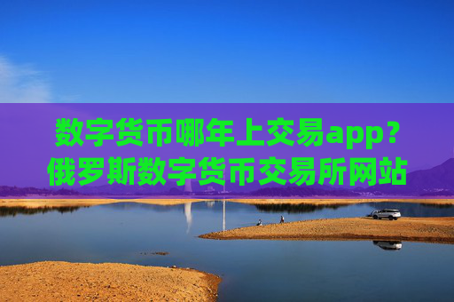 数字货币哪年上交易app？俄罗斯数字货币交易所网站