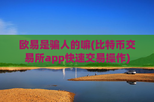 欧易是骗人的嘛(比特币交易所app快速交易操作)