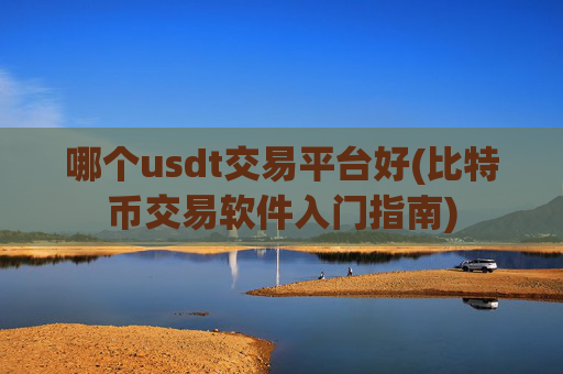 哪个usdt交易平台好(比特币交易软件入门指南)