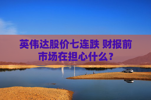 英伟达股价七连跌 财报前市场在担心什么?