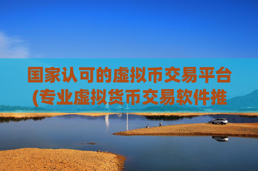 国家认可的虚拟币交易平台(专业虚拟货币交易软件推荐)