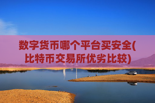 数字货币哪个平台买安全(比特币交易所优劣比较)