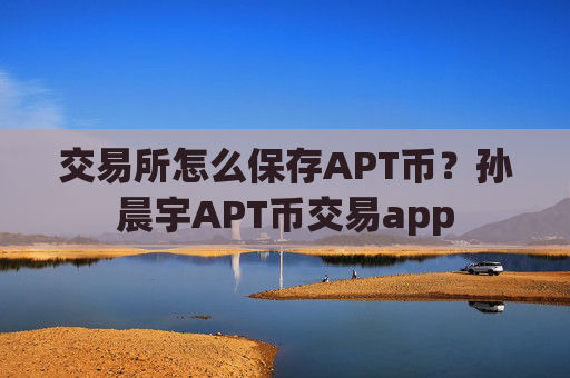 交易所怎么保存APT币？孙晨宇APT币交易app