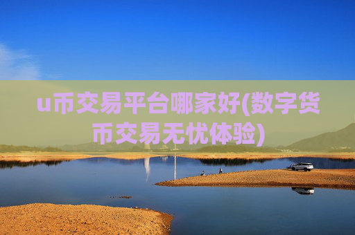 u币交易平台哪家好(数字货币交易无忧体验)