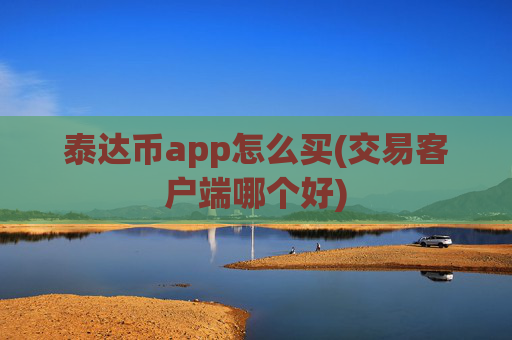 泰达币app怎么买(交易客户端哪个好)