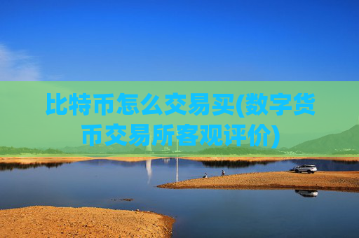 比特币怎么交易买(数字货币交易所客观评价)