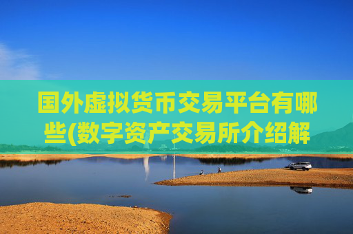 国外虚拟货币交易平台有哪些(数字资产交易所介绍解析)