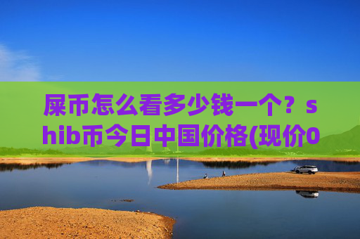 屎币怎么看多少钱一个？shib币今日中国价格(现价0.00021876元)