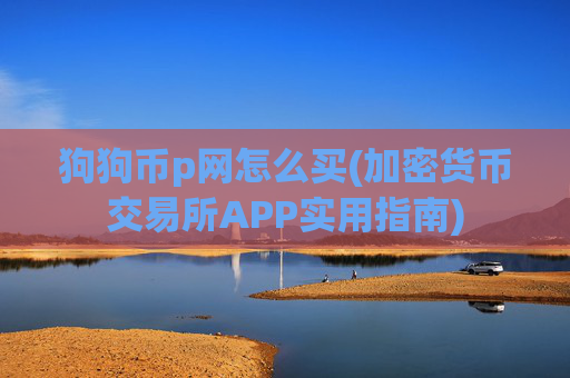 狗狗币p网怎么买(加密货币交易所APP实用指南)