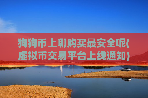 狗狗币上哪购买最安全呢(虚拟币交易平台上线通知)