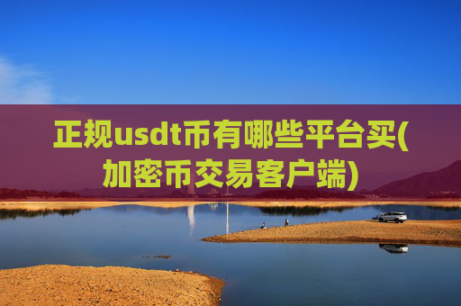正规usdt币有哪些平台买(加密币交易客户端)