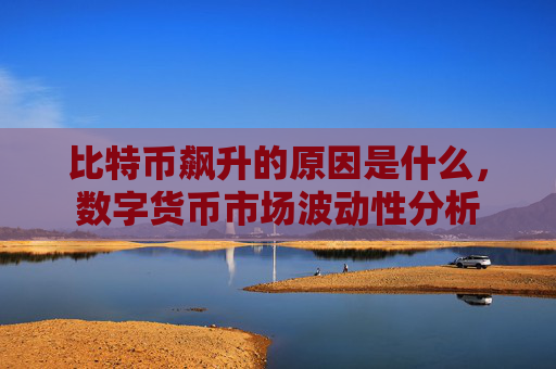 比特币飙升的原因是什么,数字货币市场波动性分析
