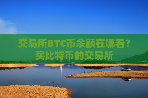 交易所BTC币余额在哪看?买比特币的交易所
