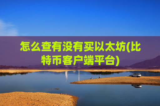 怎么查有没有买以太坊(比特币客户端平台)