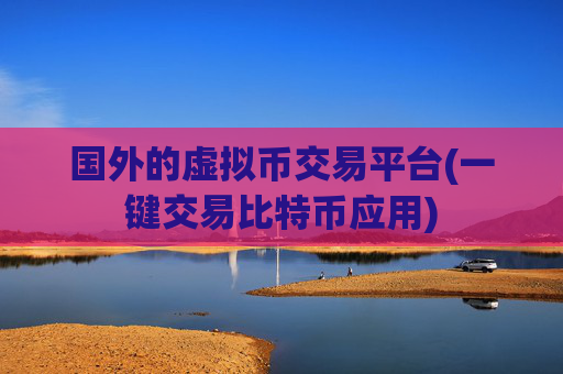 国外的虚拟币交易平台(一键交易比特币应用)