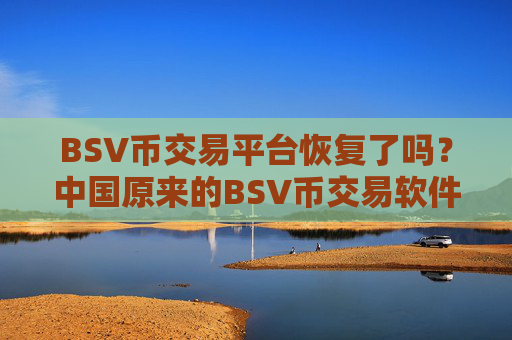 BSV币交易平台恢复了吗？中国原来的BSV币交易软件下载