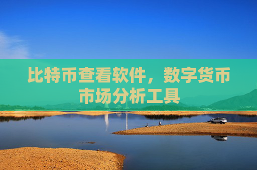 比特币查看软件，数字货币市场分析工具