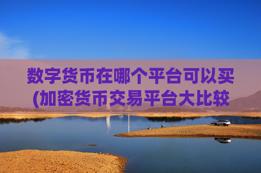 数字货币在哪个平台可以买(加密货币交易平台大比较)