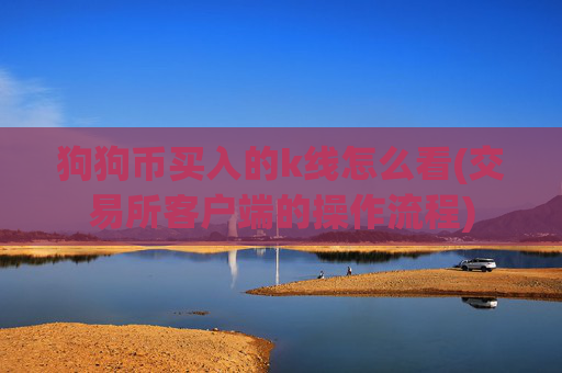 狗狗币买入的k线怎么看(交易所客户端的操作流程)