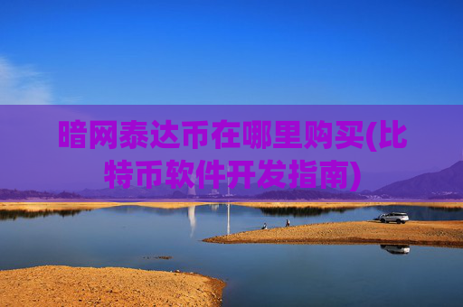 暗网泰达币在哪里购买(比特币软件开发指南)