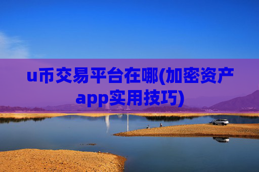 u币交易平台在哪(加密资产app实用技巧)