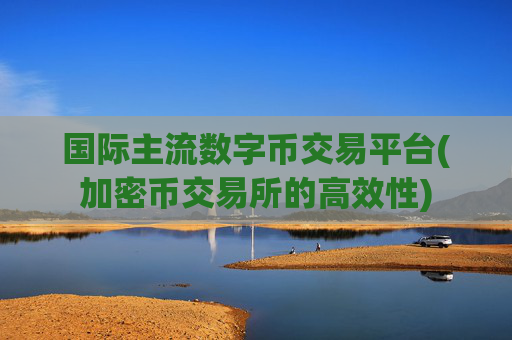 国际主流数字币交易平台(加密币交易所的高效性)