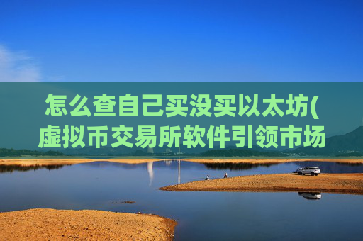 怎么查自己买没买以太坊(虚拟币交易所软件引领市场)