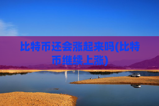 比特币还会涨起来吗(比特币继续上涨)