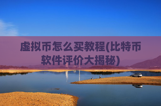 虚拟币怎么买教程(比特币软件评价大揭秘)