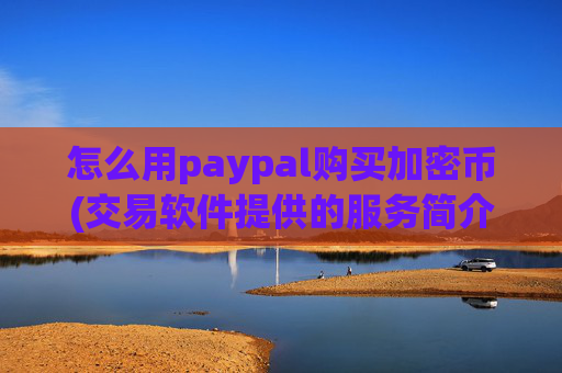 怎么用paypal购买加密币(交易软件提供的服务简介)