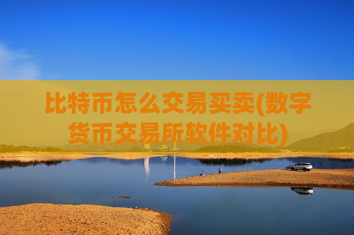 比特币怎么交易买卖(数字货币交易所软件对比)