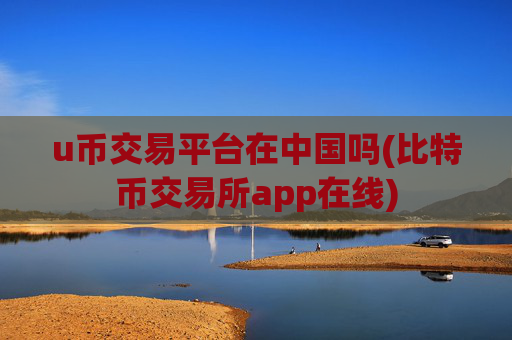 u币交易平台在中国吗(比特币交易所app在线)