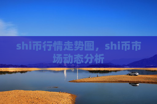 shi币行情走势图,shi币市场动态分析