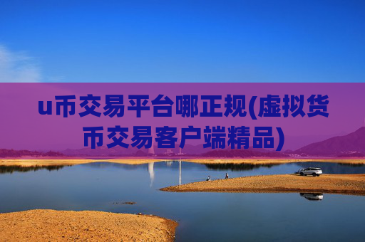u币交易平台哪正规(虚拟货币交易客户端精品)