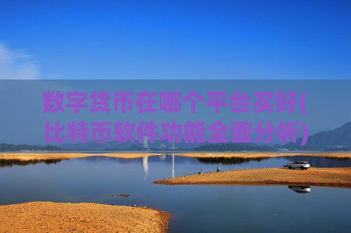 数字货币在哪个平台买好(比特币软件功能全面分析)