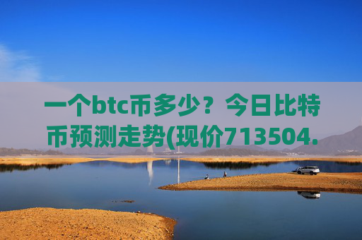 一个btc币多少？今日比特币预测走势(现价713504.21元)