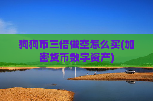 狗狗币三倍做空怎么买(加密货币数字资产)