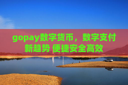 gopay数字货币，数字支付新趋势 便捷安全高效