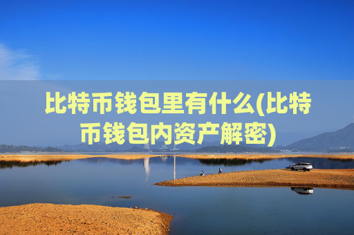 比特币钱包里有什么(比特币钱包内资产解密)