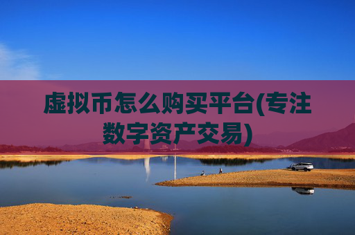 虚拟币怎么购买平台(专注数字资产交易)