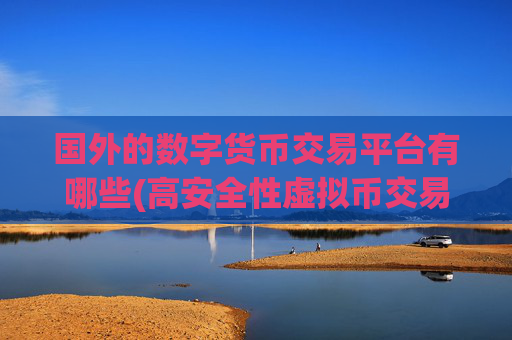 国外的数字货币交易平台有哪些(高安全性虚拟币交易平台)