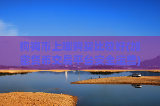 狗狗币上哪购买比较好(加密货币交易平台安全运营)