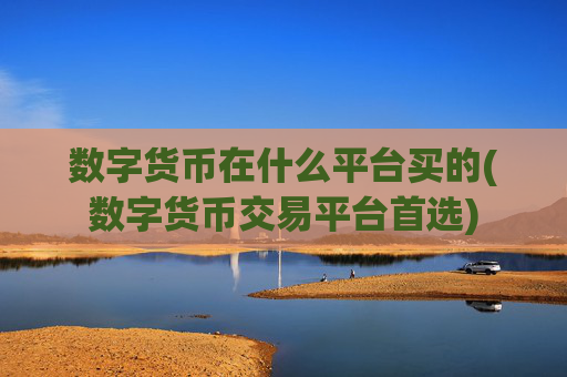 数字货币在什么平台买的(数字货币交易平台首选)