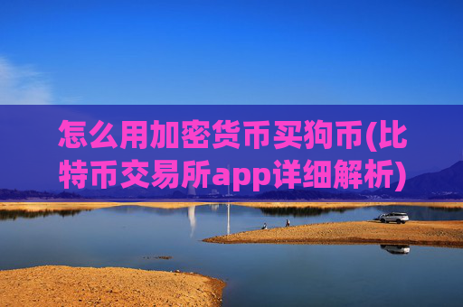 怎么用加密货币买狗币(比特币交易所app详细解析)