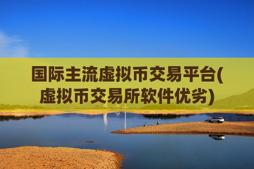 国际主流虚拟币交易平台(虚拟币交易所软件优劣)
