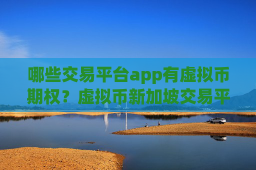 哪些交易平台app有虚拟币期权?虚拟币新加坡交易平台
