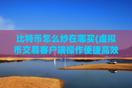 比特币怎么炒在哪买(虚拟币交易客户端操作便捷高效)
