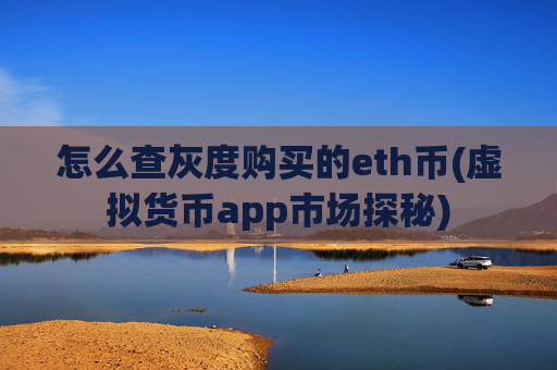怎么查灰度购买的eth币(虚拟货币app市场探秘)